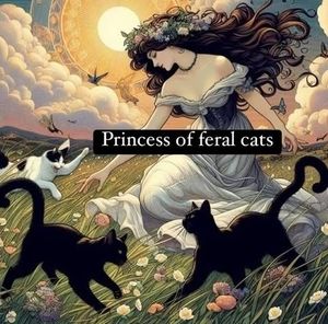 Meet your Posher, Malorie